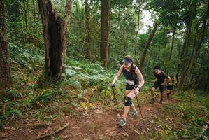 BIB: 
                            <button type="button" onclick="openModal(22444943)" class="btn btn-primary btn-sm float-right btn-popup" data-toggle="modal" data-target=".modal-high-quality">
                        <i class="fas fa-shopping-cart"></i> Add to Cart
                    </button>
                                            <button type="button" onclick="isThisMe(22444943, true)" class="btn btn-success btn-sm float-right btn-popup btn-isme hidden" data-toggle="tooltip" data-placement="bottom" title="นี่คือรูปของคุณใช่ไหม คลิกที่นี่เพื่อเอาเข้าอัลบั้ม">
                        <i class="fas fa-plus"></i> Add to album
                    </button>
                    <button type="button" onclick="isThisMe(22444943, false)" class="btn btn-warning btn-sm float-right btn-popup btn-isnotme hidden">
                        <i class="fas fa-ban"></i> Remove from album
                    </button>